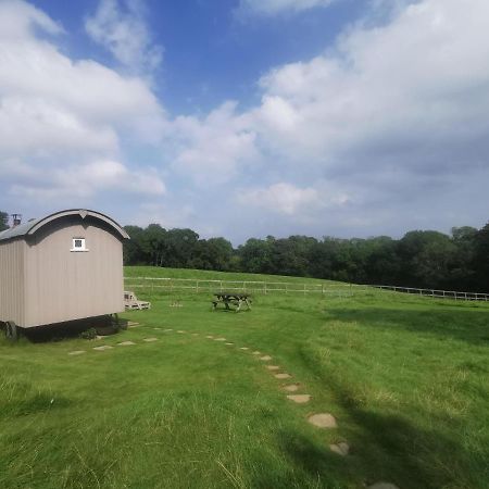 Molly Dishwasher Shepherds Hut Frant エクステリア 写真