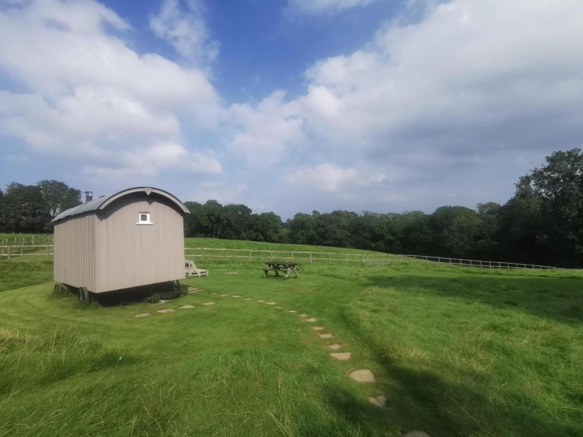 Molly Dishwasher Shepherds Hut Frant エクステリア 写真